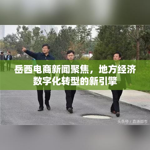 岳西電商新聞聚焦，地方經(jīng)濟(jì)數(shù)字化轉(zhuǎn)型的新引擎