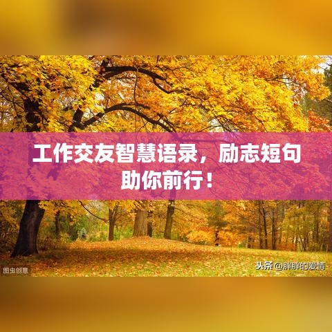 工作交友智慧語錄，勵(lì)志短句助你前行！