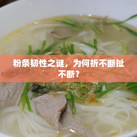 粉條韌性之謎，為何折不斷扯不斷？