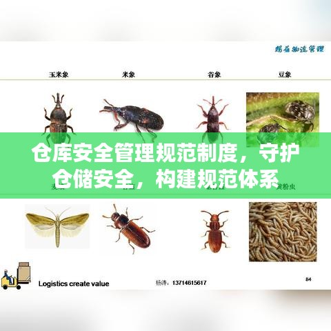 倉庫安全管理規(guī)范制度，守護(hù)倉儲(chǔ)安全，構(gòu)建規(guī)范體系