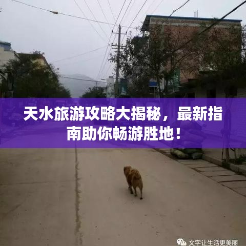 天水旅游攻略大揭秘，最新指南助你暢游勝地！