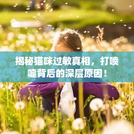 揭秘貓咪過敏真相，打噴嚏背后的深層原因！