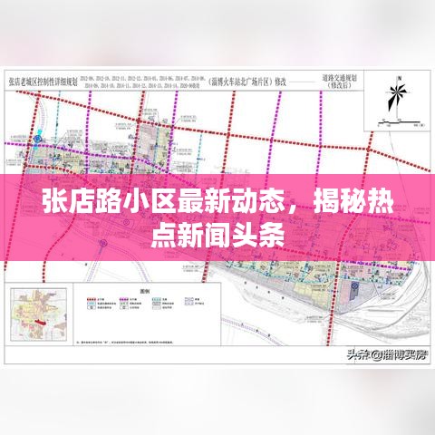 張店路小區(qū)最新動態(tài)，揭秘?zé)狳c(diǎn)新聞頭條