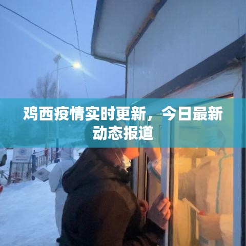 雞西疫情實(shí)時(shí)更新，今日最新動(dòng)態(tài)報(bào)道