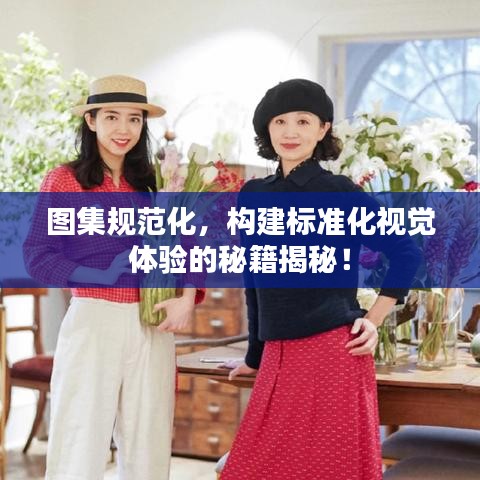 圖集規(guī)范化，構(gòu)建標(biāo)準(zhǔn)化視覺體驗的秘籍揭秘！