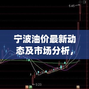 寧波油價最新動態(tài)及市場分析，今日關注焦點