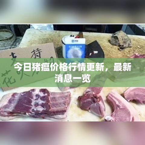 今日豬瘟價格行情更新，最新消息一覽