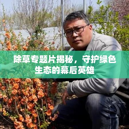 除草專題片揭秘，守護(hù)綠色生態(tài)的幕后英雄