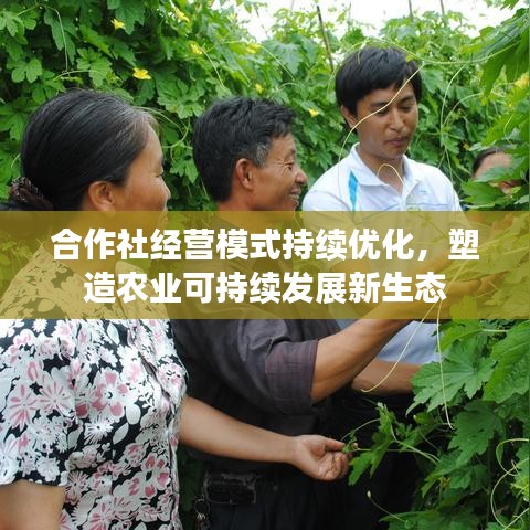 合作社經(jīng)營(yíng)模式持續(xù)優(yōu)化，塑造農(nóng)業(yè)可持續(xù)發(fā)展新生態(tài)