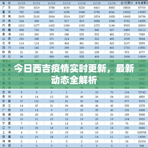 今日西吉疫情實時更新，最新動態(tài)全解析