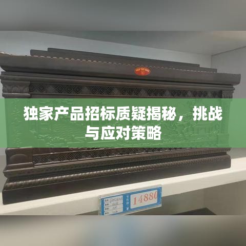 獨(dú)家產(chǎn)品招標(biāo)質(zhì)疑揭秘，挑戰(zhàn)與應(yīng)對(duì)策略